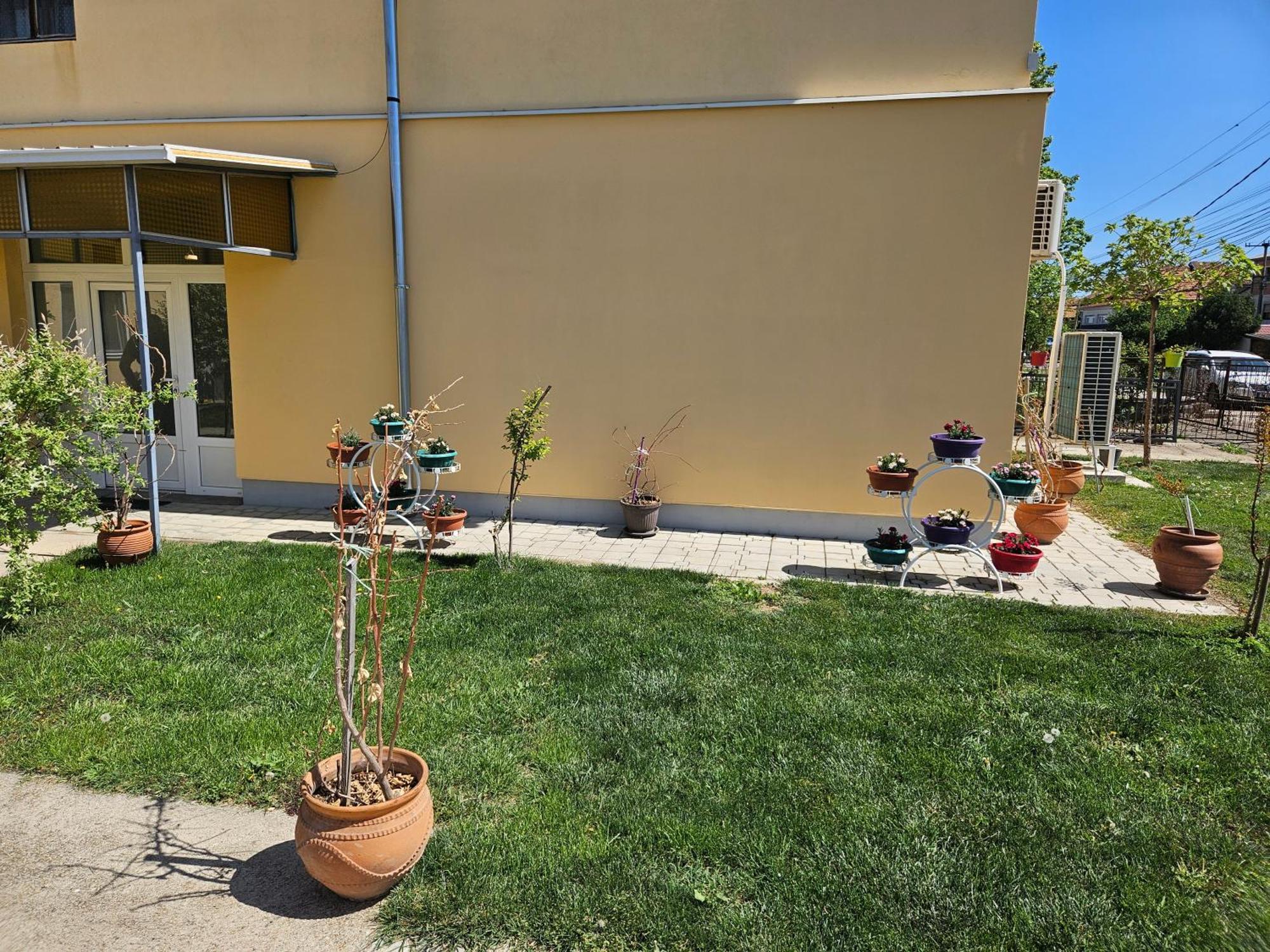 Apartments Kuca Aleksic Nis Exterior photo